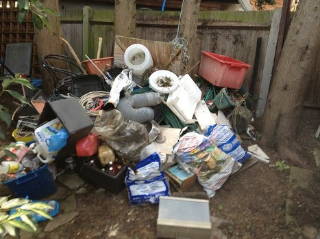 Team performing garden clearance